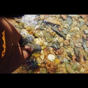 Meet your Posher, Trina